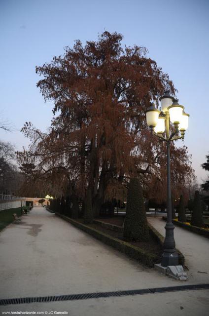 Parque del Retiro Madrid. Spain Retiro Park 0411 Parque del Retiro Madrid. Spain Retiro Park 0411